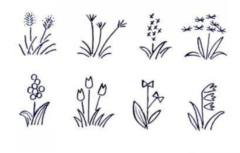 地被植物 地被植物